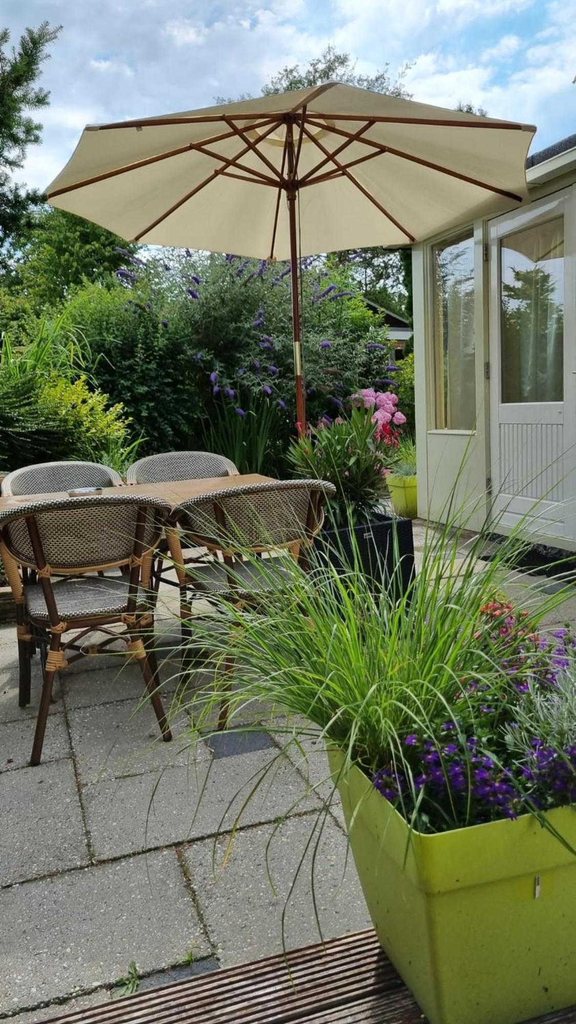 Villa Zonnig Zuid à Dirkshorn Extérieur photo
